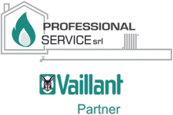 Logo Professional Service