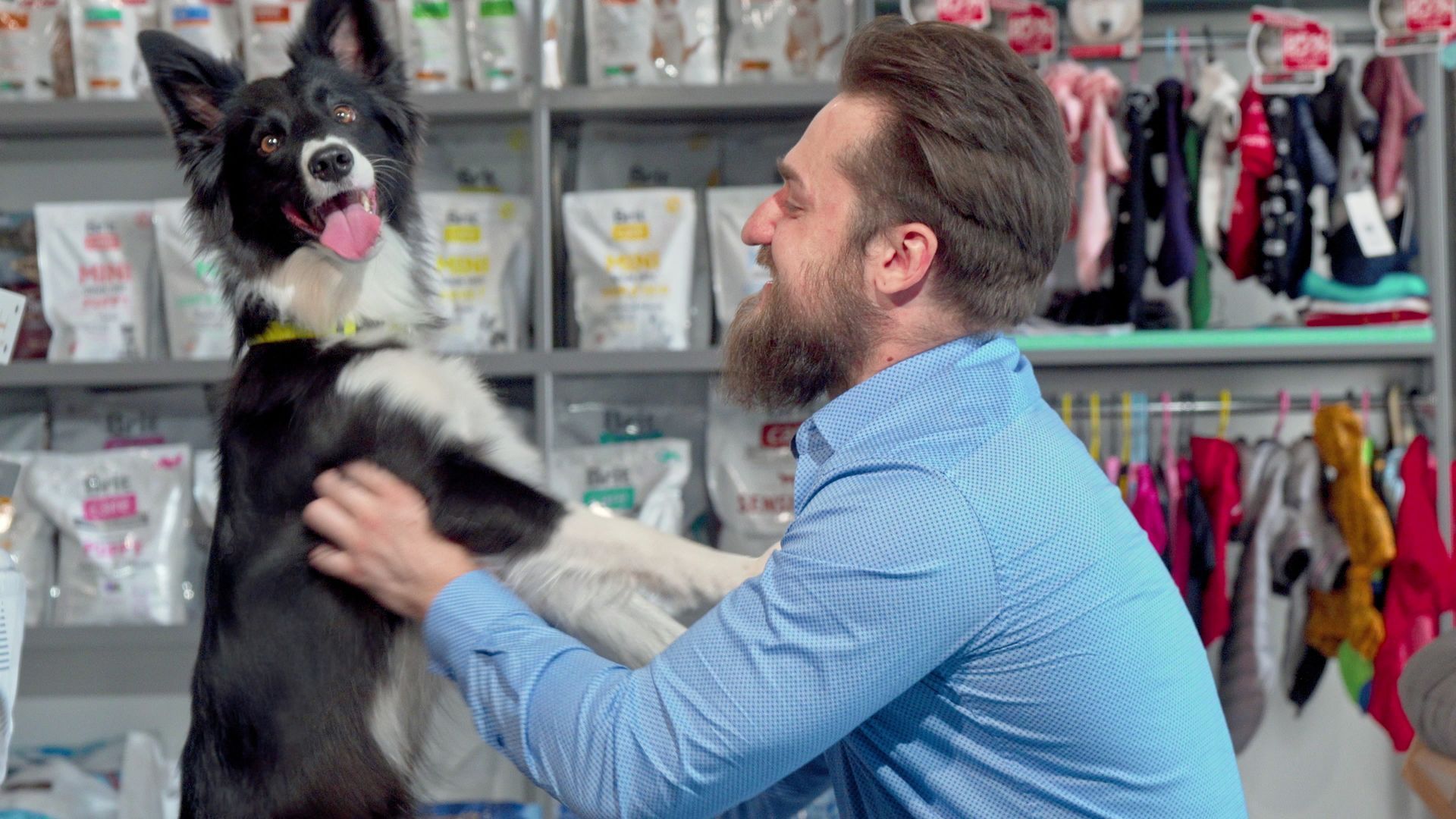 perro y persona feliz