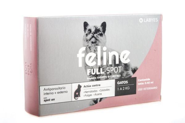 Feline
