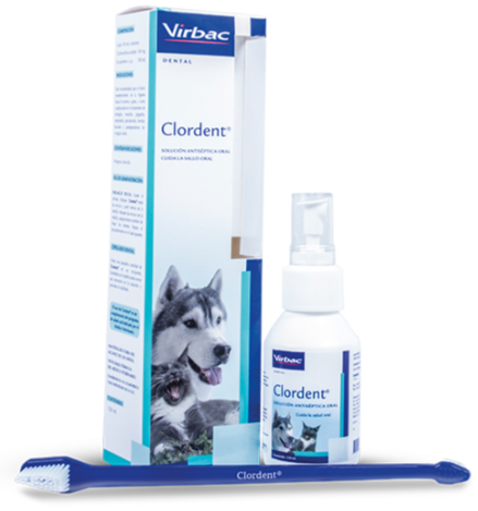 Clordent Oral 120ML