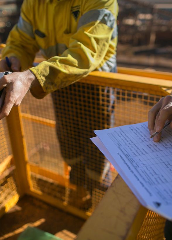 picture of two men standing around a metal cage perusing over a paper arborist report.