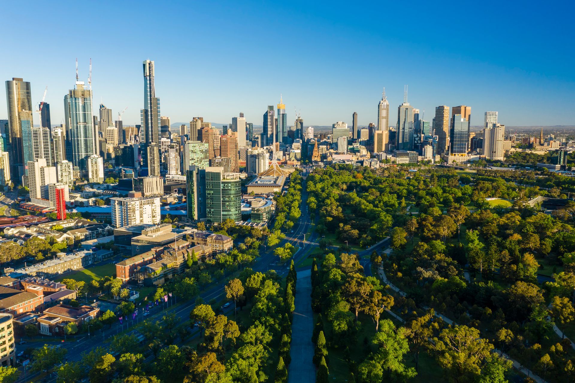 Image depicts Melbourne City skyline with its green corridors and a blue sky in the background.