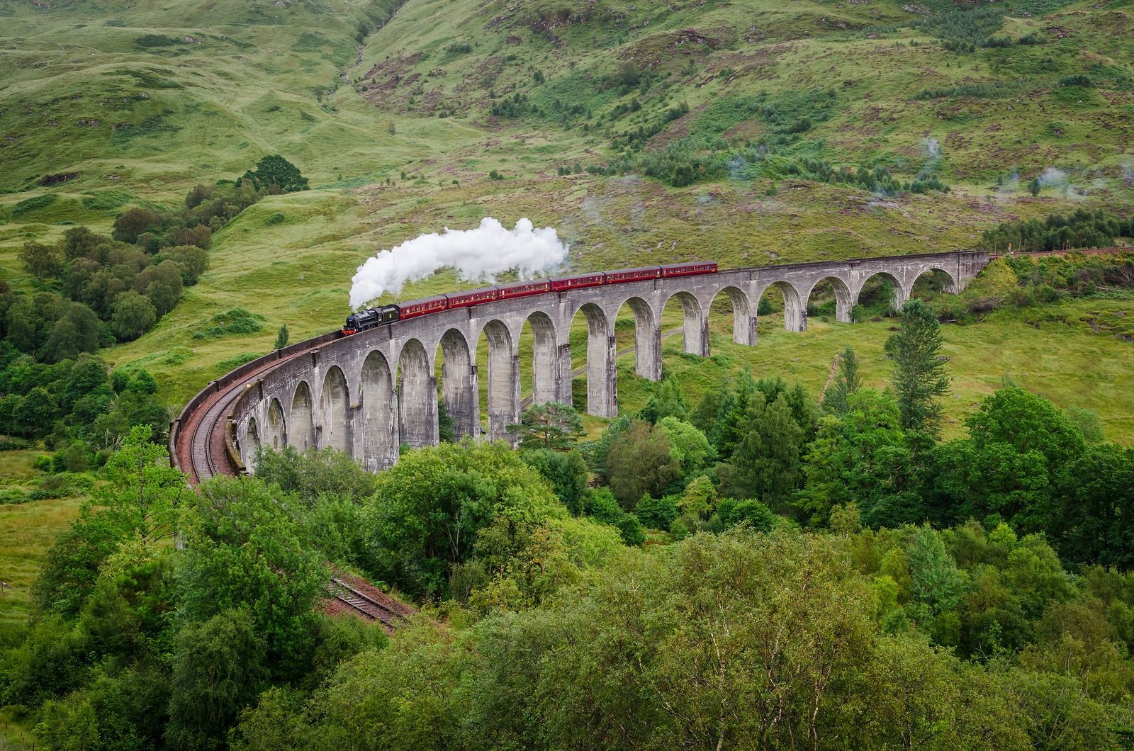 A train is going over a bridge in the middle of a forest.