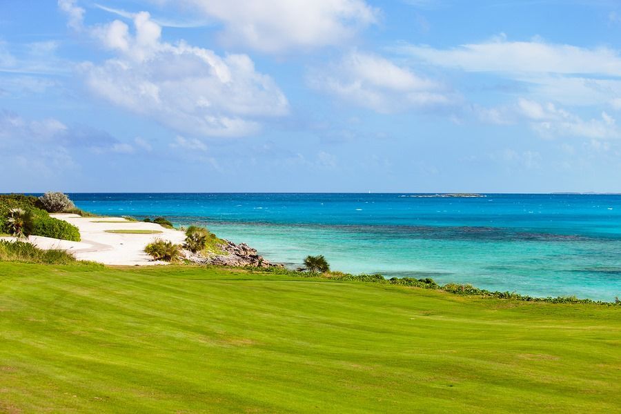 A lush green field with a beach in the background and the ocean in the background.