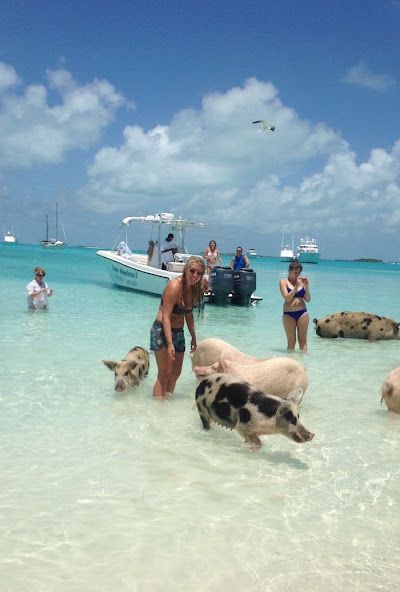 A woman is standing in the water with pigs on a beach.