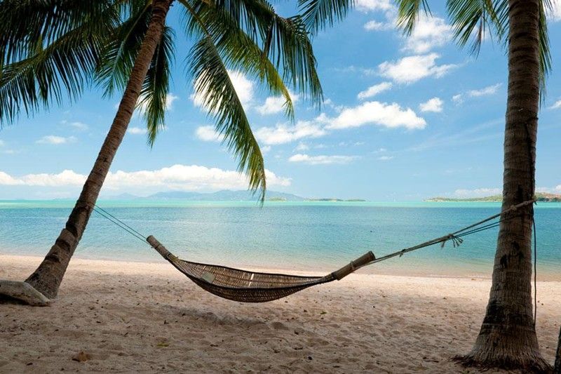 A hammock is hanging between two palm trees on a beach.