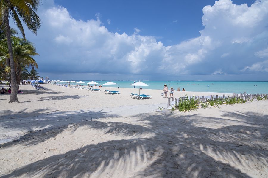 A beach with palm trees and umbrellas on a sunny day