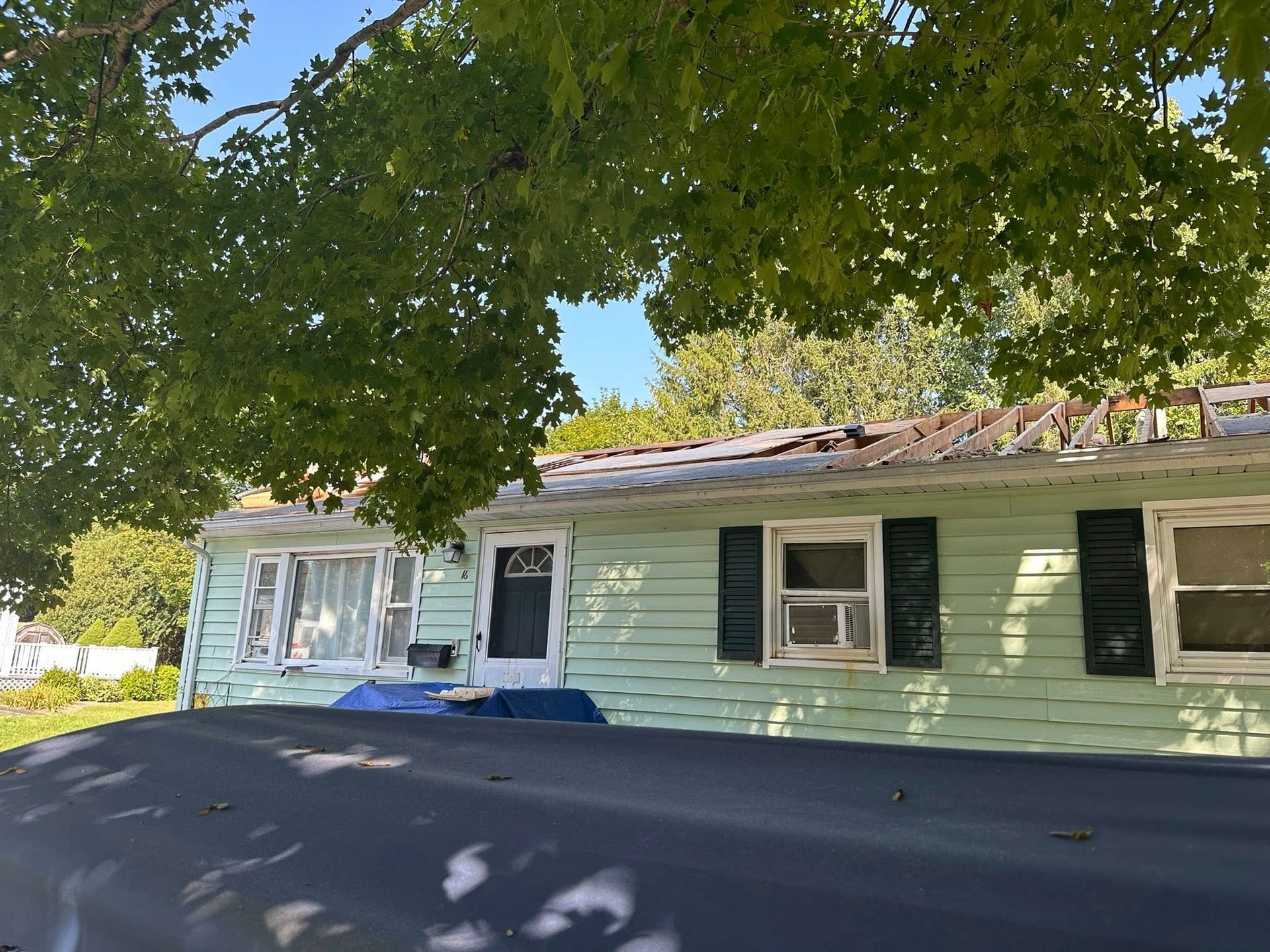 Green house with damaged roof, under a leafy tree, on a sunny day.
