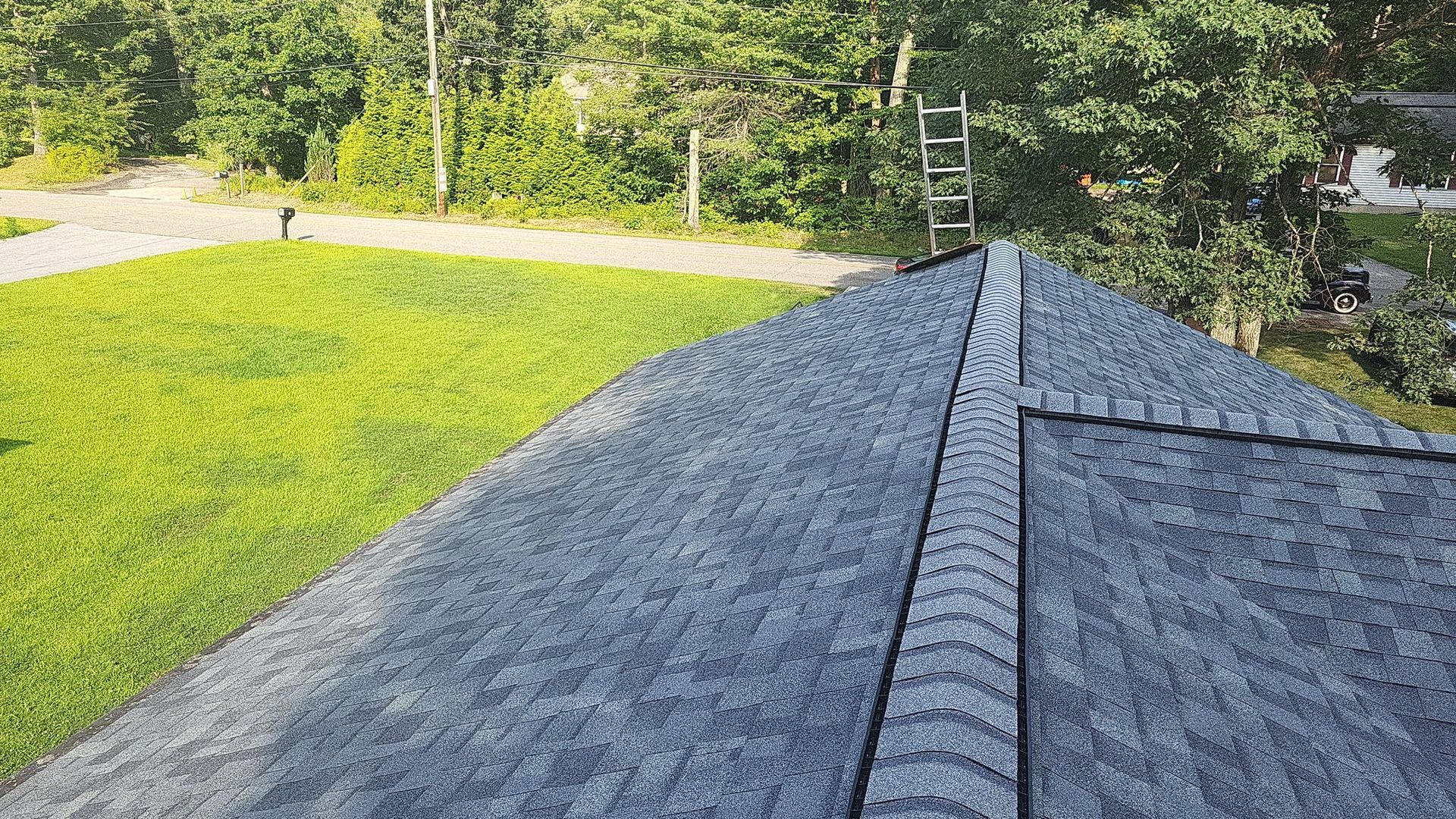 View from roof: gray shingle, black ridge, ladder. Green grass and trees in the background.