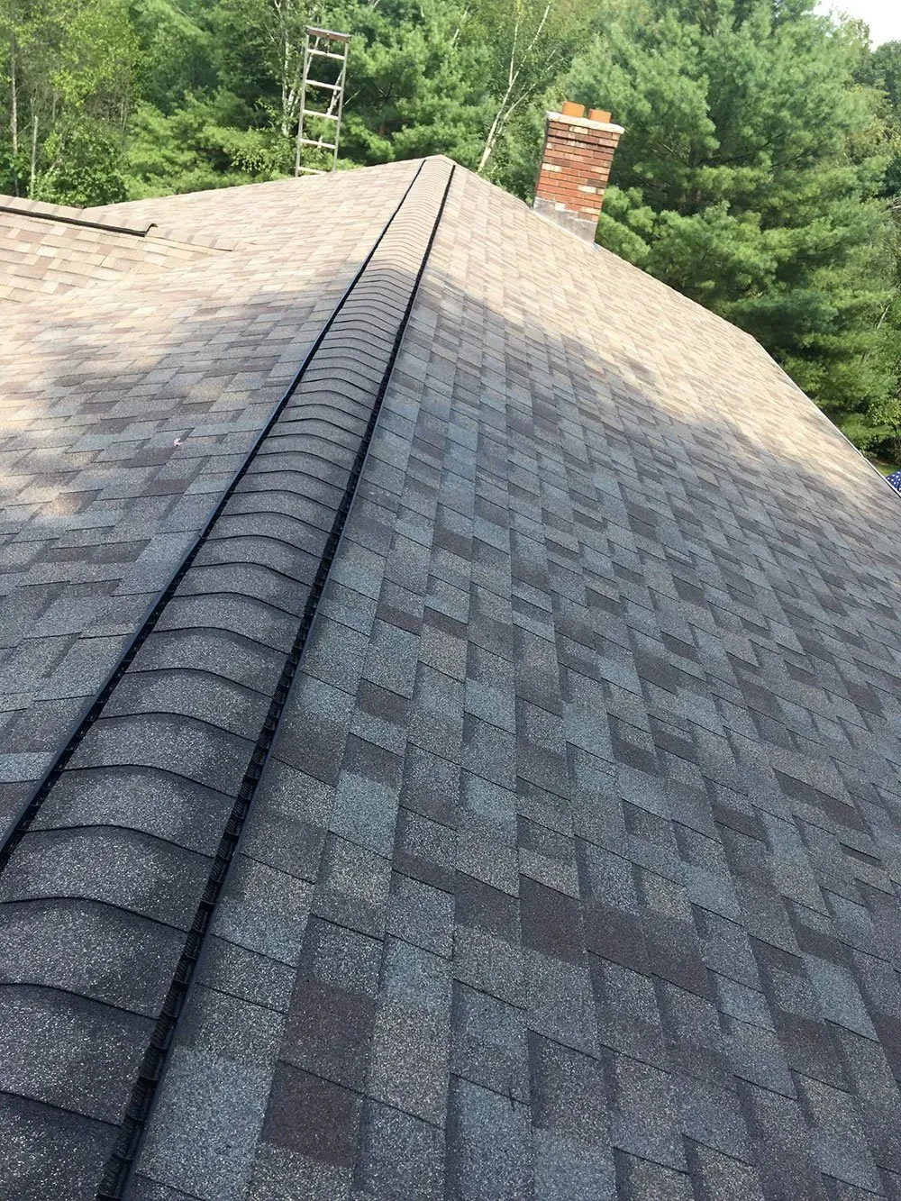 Shingled roof with a dark ridge line; a chimney and trees are in the background.