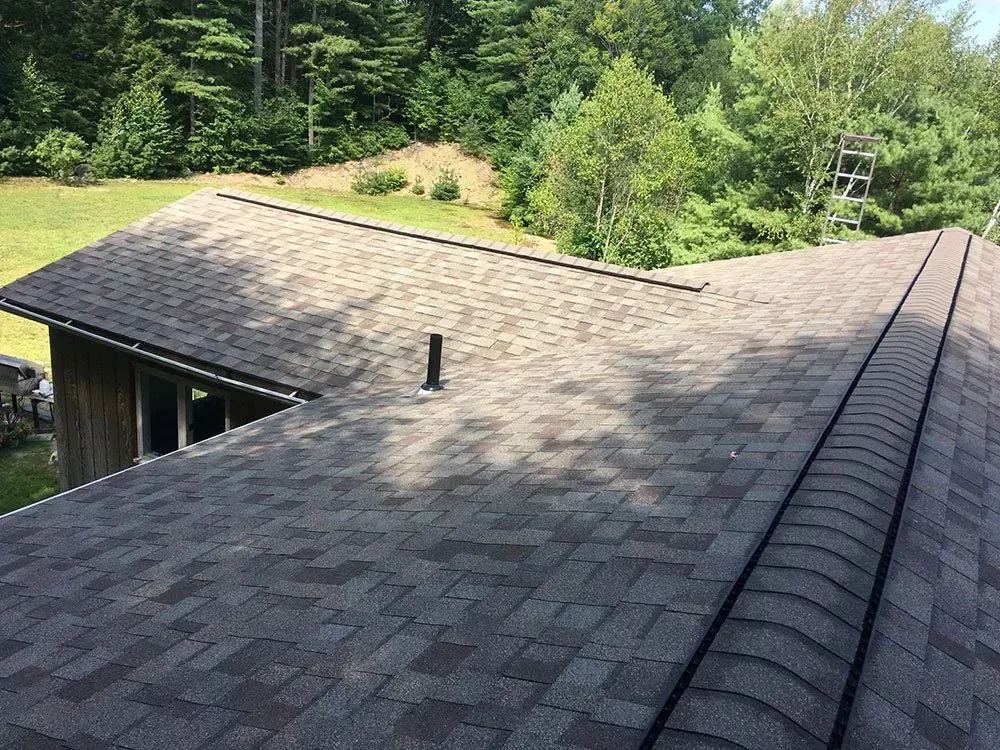 Asphalt shingle roof of a house with a forest backdrop, seen from above.