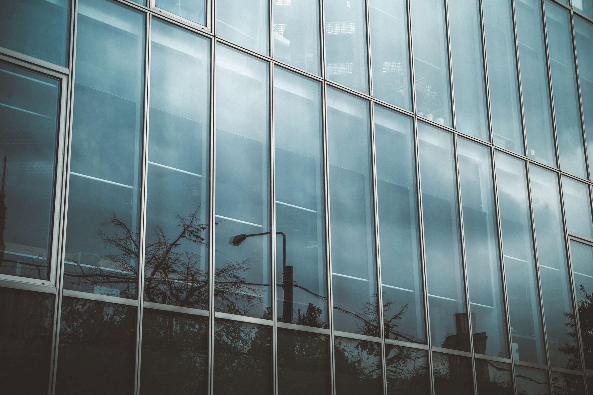 Glass building facade with reflective windows and bare trees outside