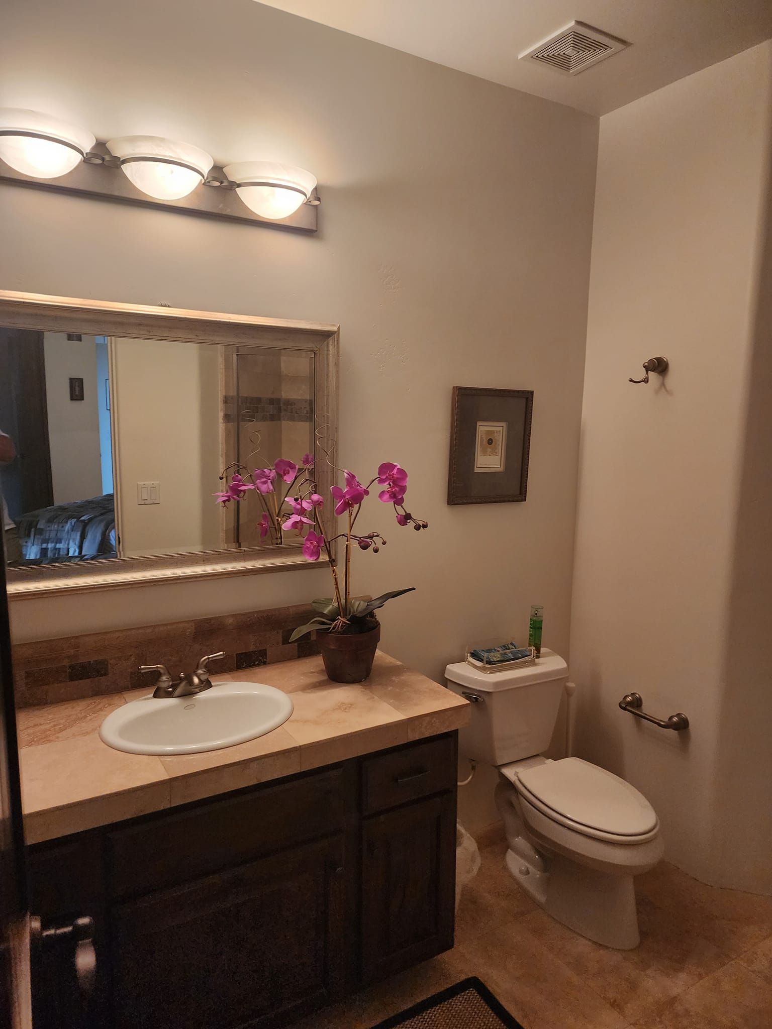 Bathroom with dark wood vanity, white sink, toilet, orchid, and framed artwork.
