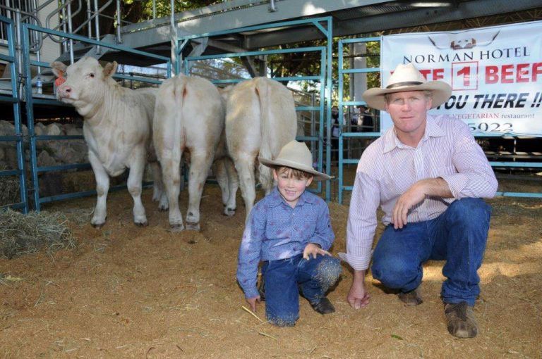 a man and a boy are kneeling with bulls in the background
