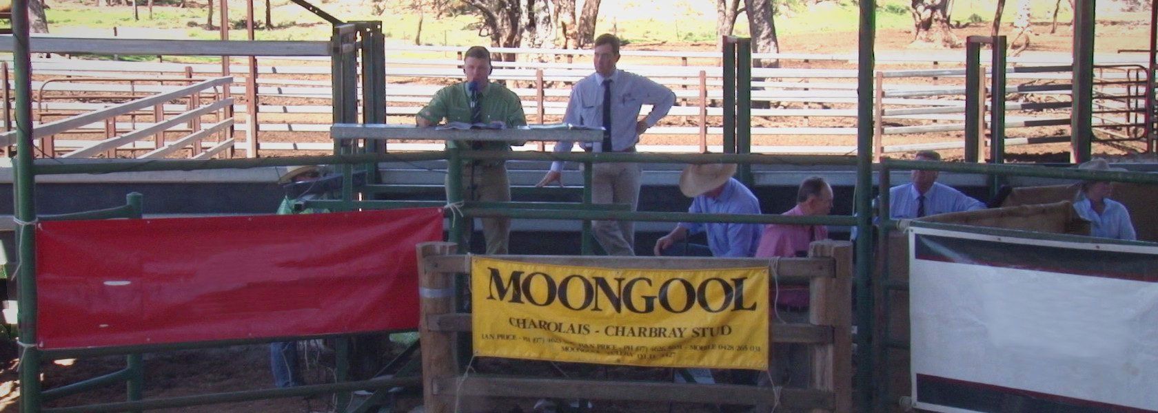 a group of people standing in a pen with a sign that says moongool