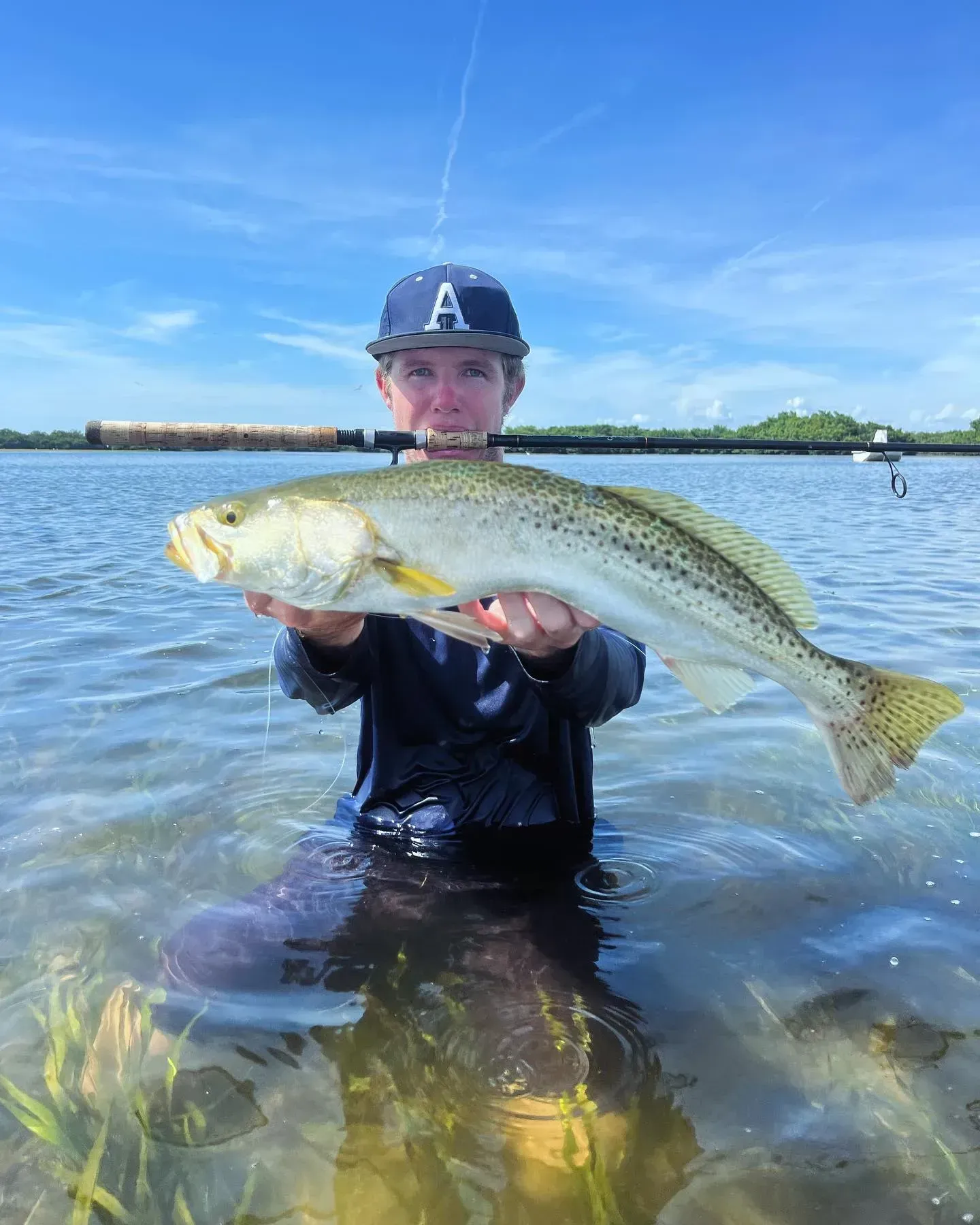 A man is kneeling in the water holding a large fish.
