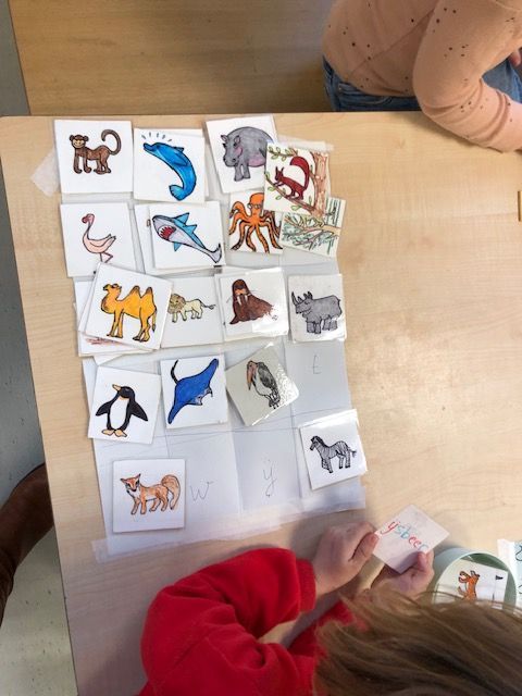 Dierenkaarten op alfabet voor groep 1/2
