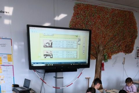 Muurschildering boom herfst