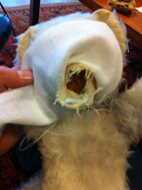 Beer krijgt nieuw tijk om z'n neus