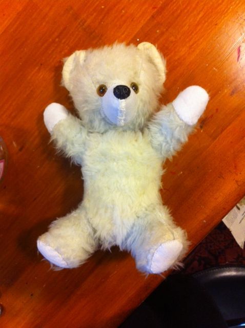 Beer zit weer in elkaar en mag naar huis