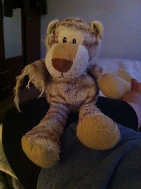 Tijgers poot is er haast helemaal af. Hij kijkt er zelf ook verbaasd naar.