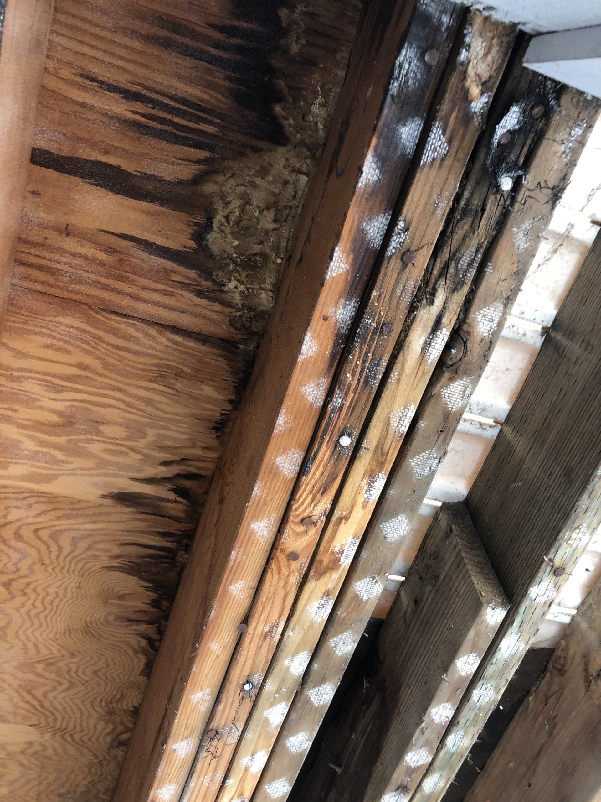 Damaged Structural Joists & Beams