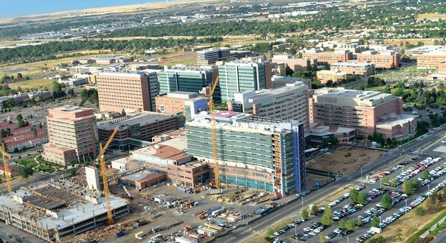 An aerial view of a large city with lots of buildings and trees.