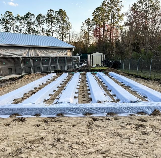 Upgrading Septic Tank — Starke, FL — Phillip McDonald