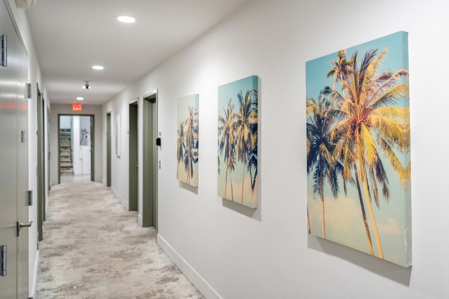 Hallway with palm tree art on white walls, carpeted floor, and doors.
