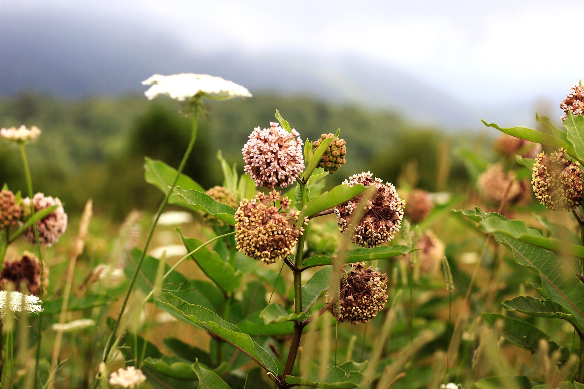Black urn on a white table with tulips and a vase of flowers in a room.