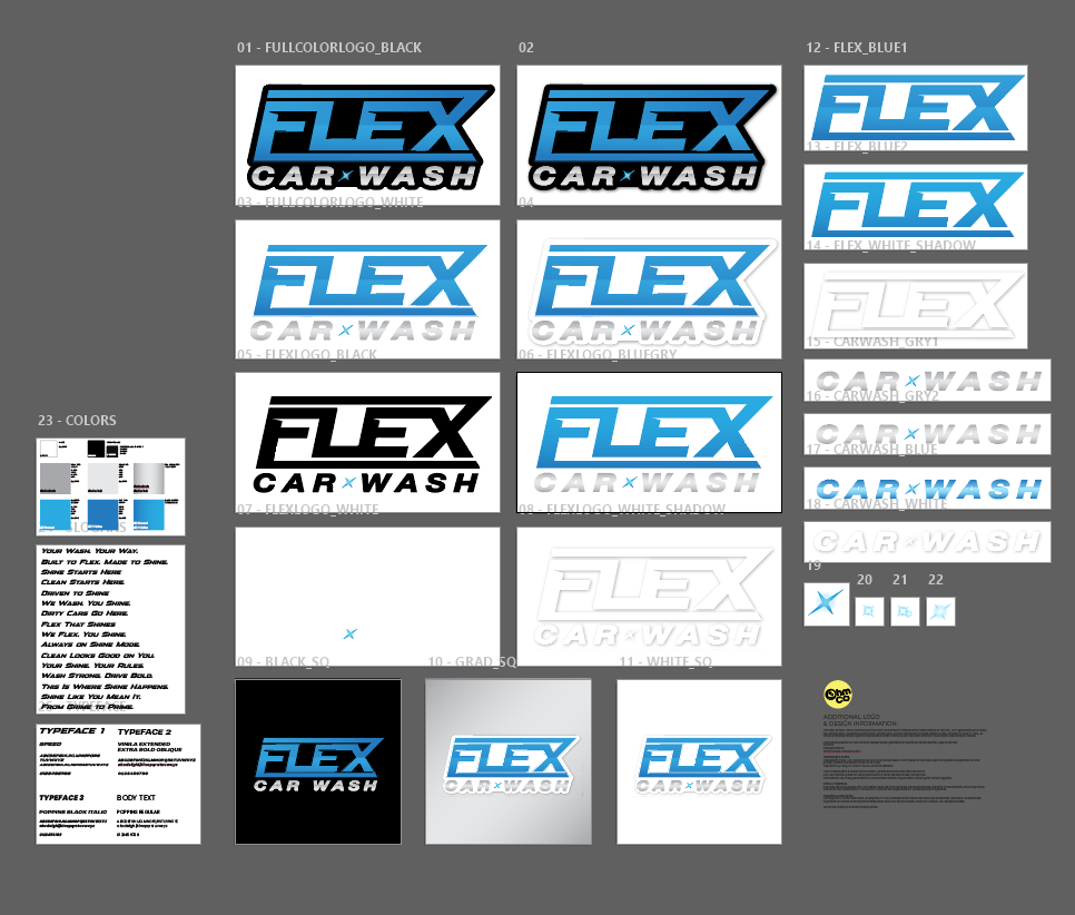 Complete Brand Guide + Logo Package