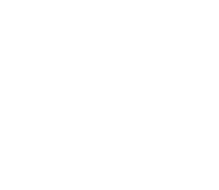 rule of design albatross bird