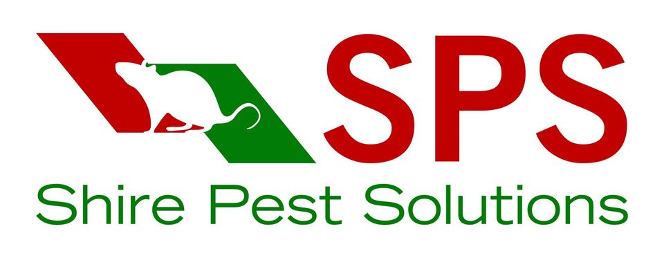 pest control for Abingdon, Didcot , Wallingford, Wantage