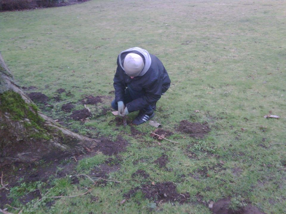 mole trapping in gardens in witney