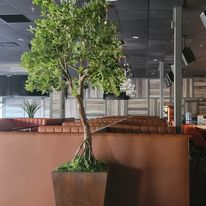 A small tree in a pot in a restaurant