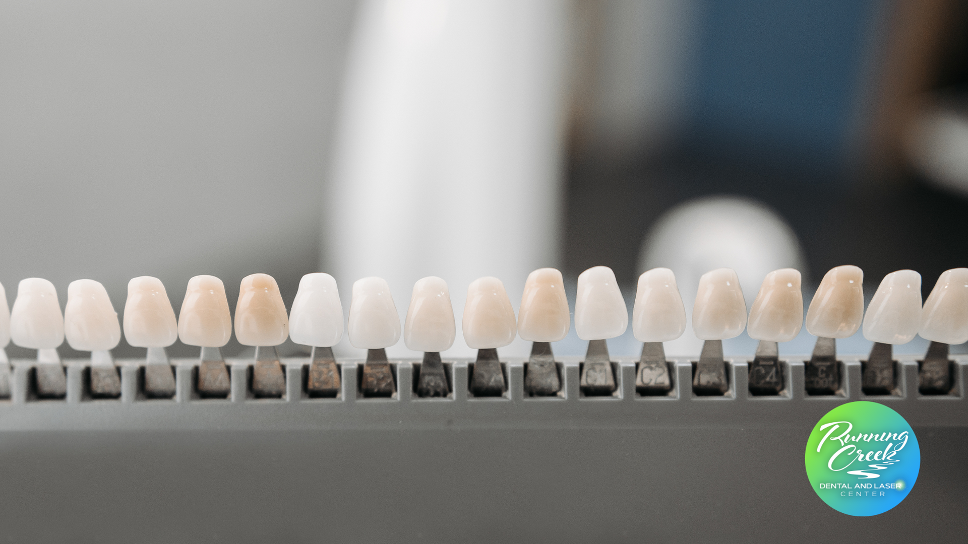 A row of teeth are lined up in a row