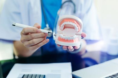 Doctor pointing to teeth model, explaining dental care.