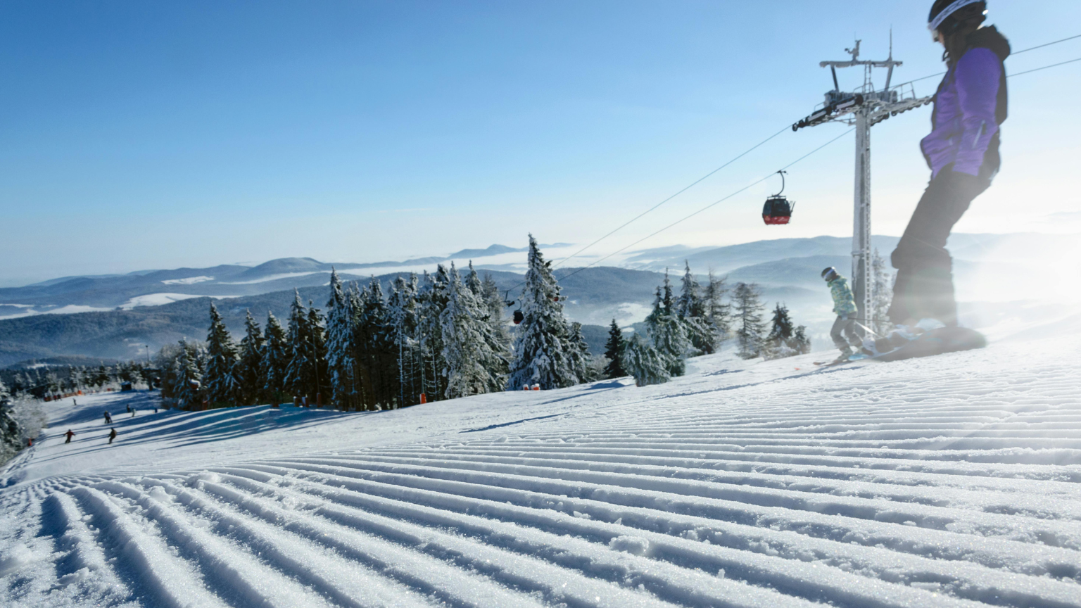 Neige damee et motif velours cotele