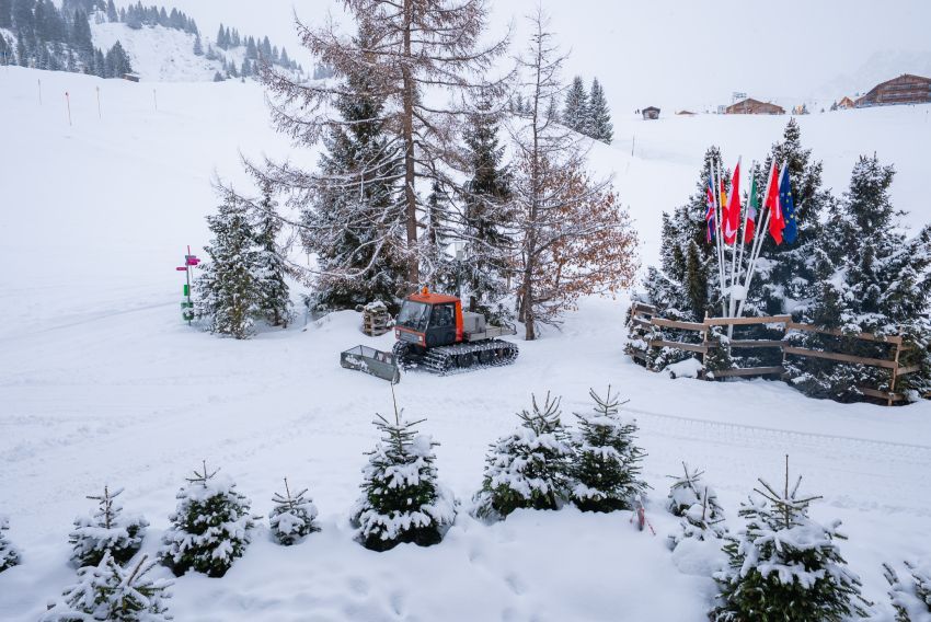 Snow groomers working together at night, clearing snow on a ski slope, with heavy snowfall and snow-covered trees.