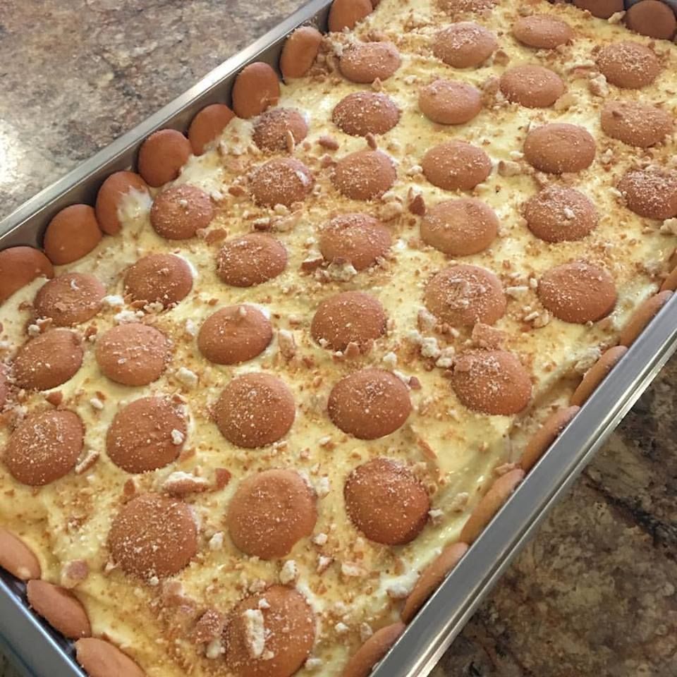 Tray of baked dessert bars topped with round cookie pieces and coconut flakes.