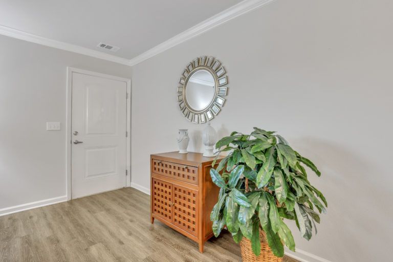 A hallway with a dresser , mirror , and potted plant.