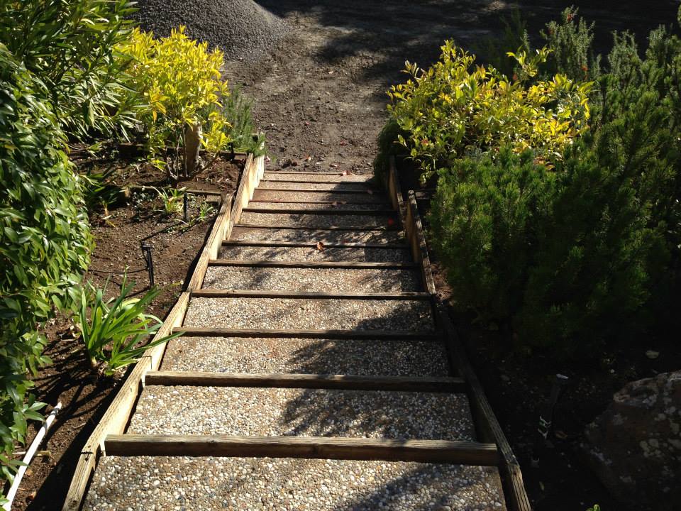 In Progress Landscaping — Santa Cruz, CA — Quilici Gardening