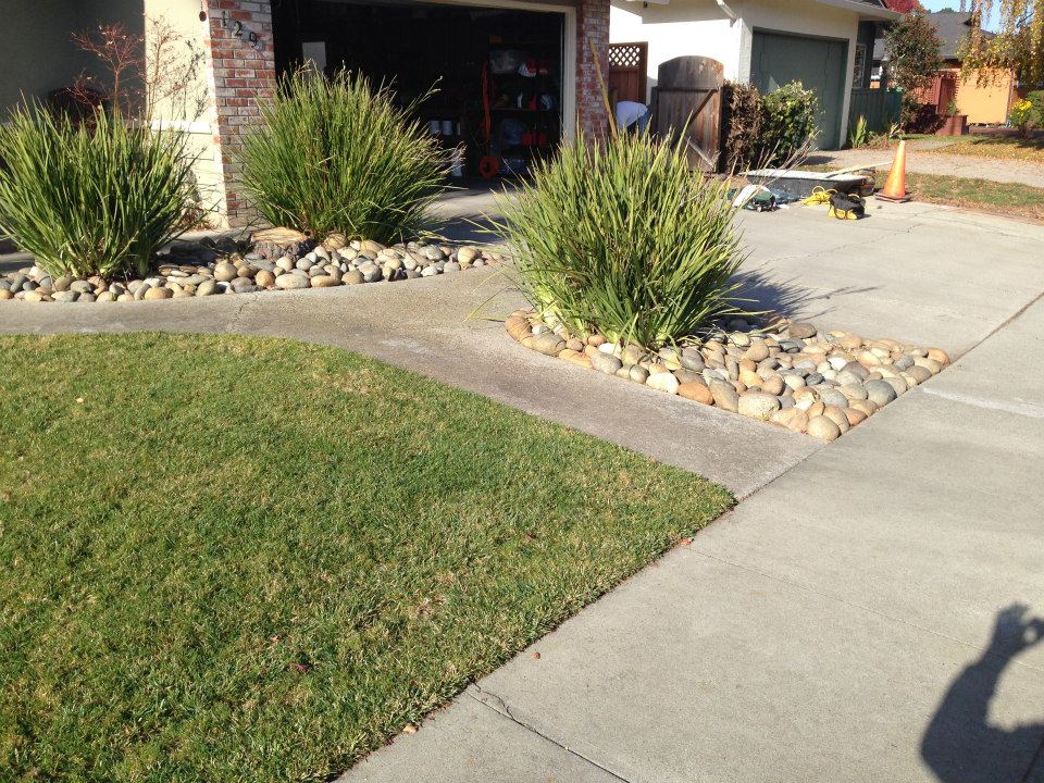 Stone Arrange Beside The Plants — Santa Cruz, CA — Quilici Gardening