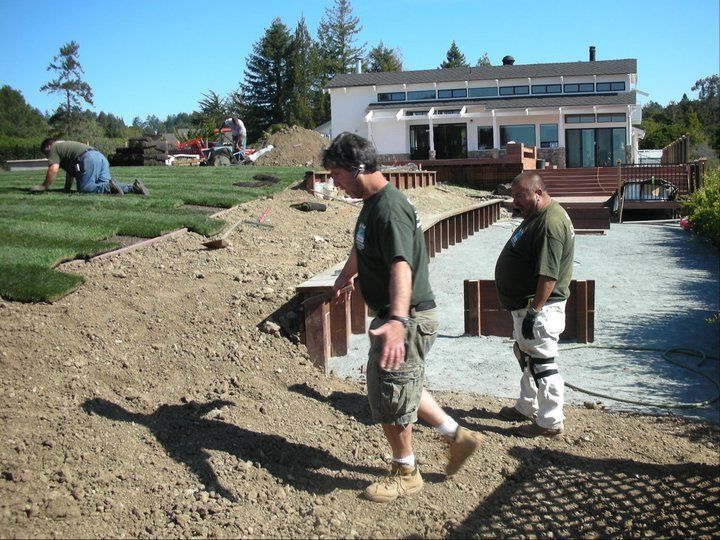 Crews Installing Grass In Font Of The House — Santa Cruz, CA — Quilici Gardening