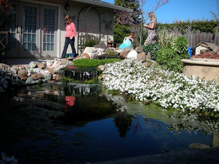 Water Fall And Garden — Santa Cruz, CA — Quilici Gardening