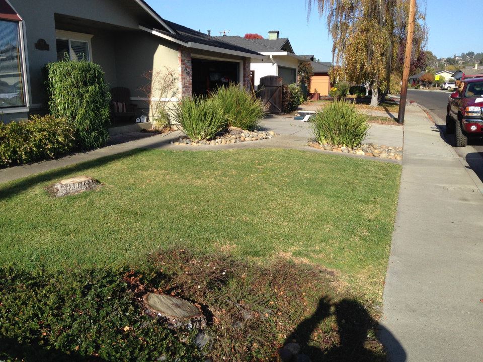 Landscape In Font Of The House — Santa Cruz, CA — Quilici Gardening