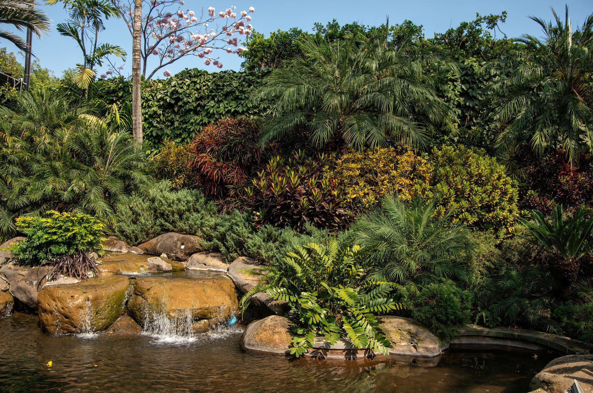 Beautiful ponds In Front Yard — Santa Cruz, CA — Quilici Gardening