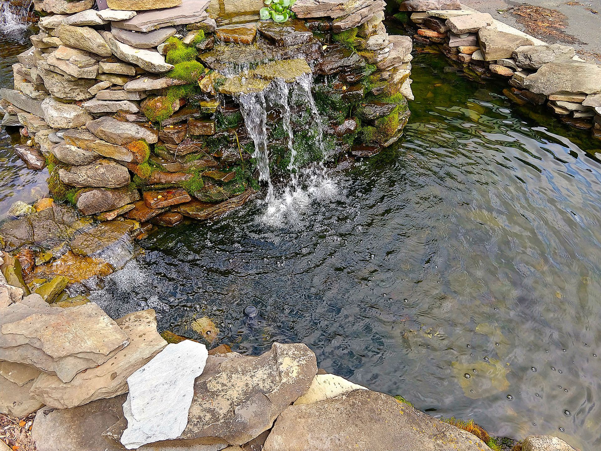 Beautiful ponds In Front Yard — Santa Cruz, CA — Quilici Gardening