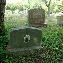 MCHS Aspin Hill Memorial Park Dog Memorial