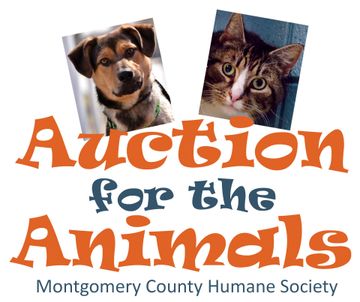 MCHS events support our work